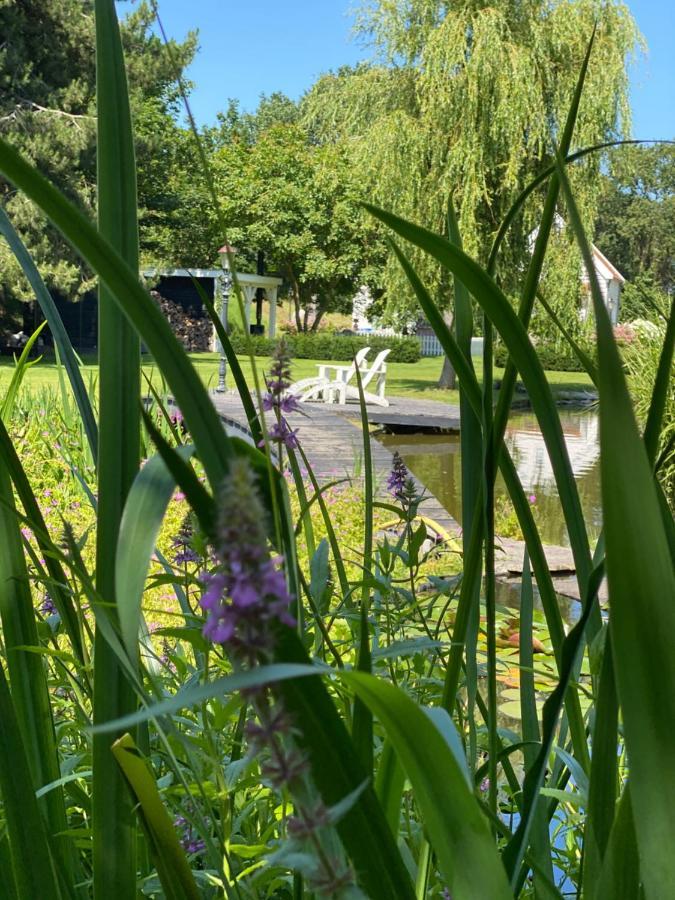 Gastenverblijf Nature 4-Persoons Ouddorp Eksteriør bilde