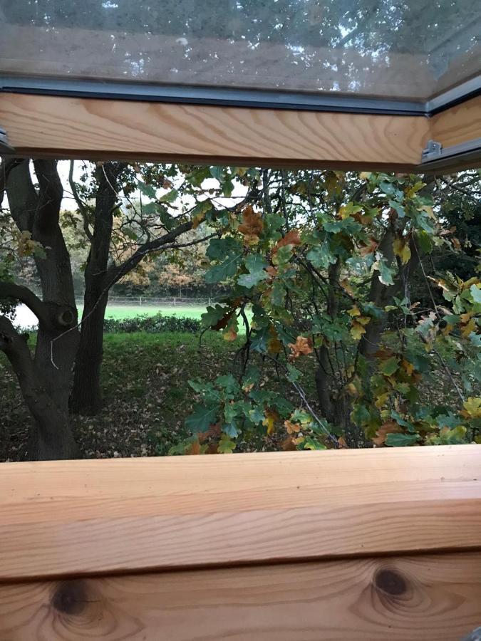 Gastenverblijf Nature 4-Persoons Ouddorp Eksteriør bilde